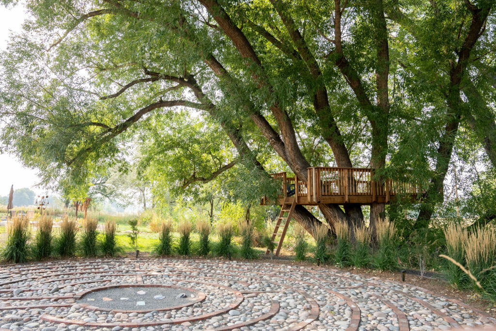 The Gardens Spotlight: The Labyrinth DSC00436 1