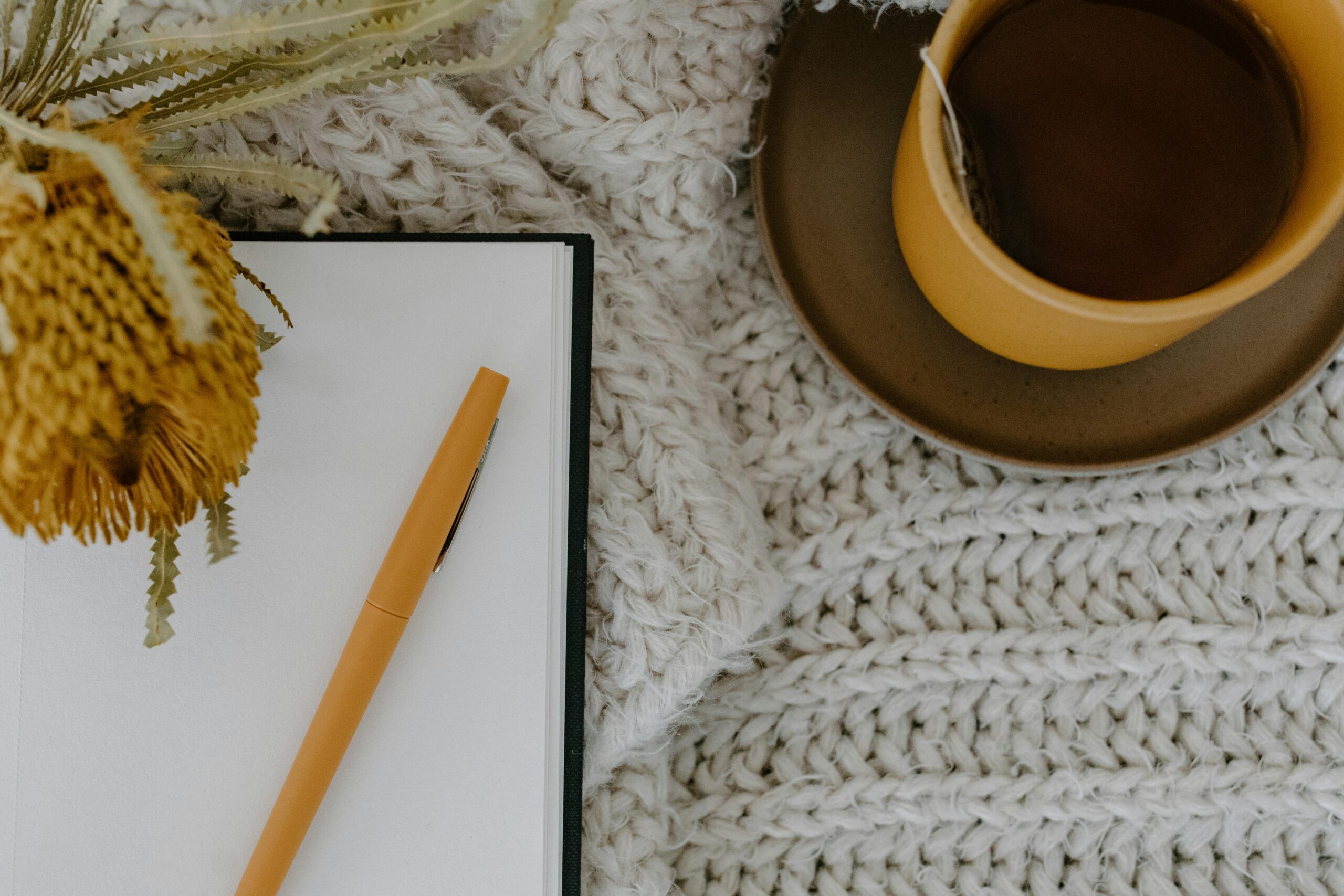 Journal pexels tara winstead 6690217